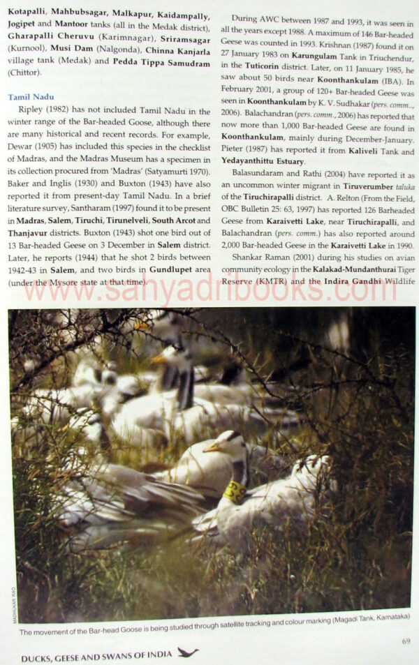 Ducks-geese-and-swans-of-India_sample Ducks-geese-and-swans-of-India_sample