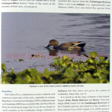 Ducks-geese-and-swans-of-India_sample1 Ducks-geese-and-swans-of-India_sample1