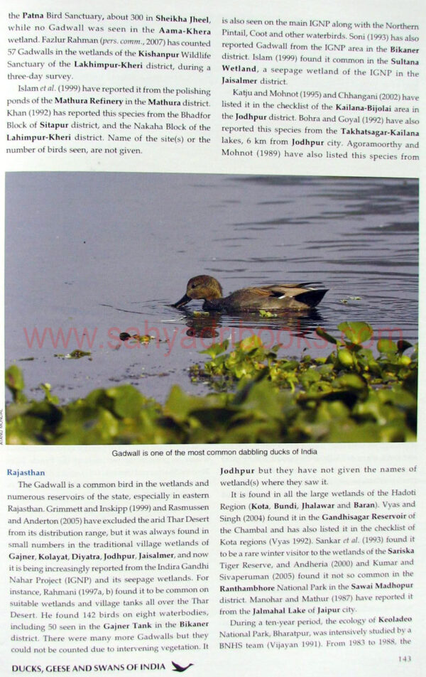 Ducks-geese-and-swans-of-India_sample1 Ducks-geese-and-swans-of-India_sample1