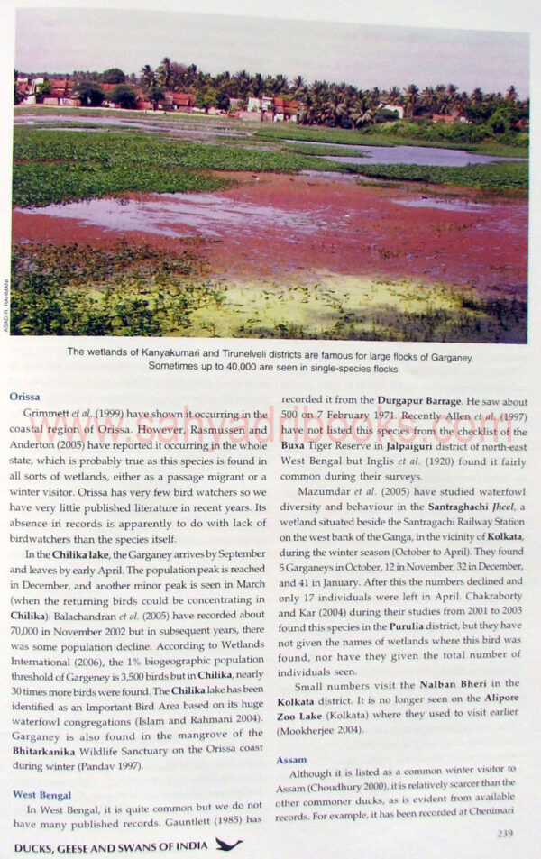 Ducks-geese-and-swans-of-India_sample2 Ducks-geese-and-swans-of-India_sample2