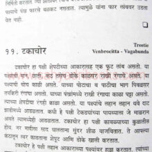 Pakshyanchi-gharti_sample