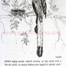 Pakshyanchi-gharti_sample1