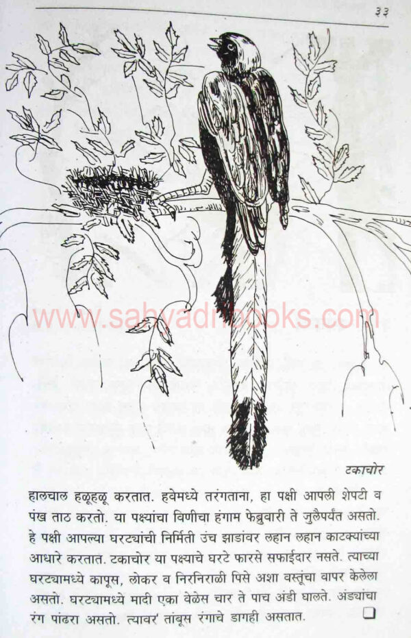 Pakshyanchi-gharti_sample1