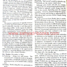 Prehistory-of-the-Chitrakot-Falls_Sample2 Prehistory-of-the-Chitrakot-Falls_Sample2