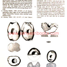 Stone-Age-Hunter-Gatherers_Sample2 Stone-Age-Hunter-Gatherers_Sample2