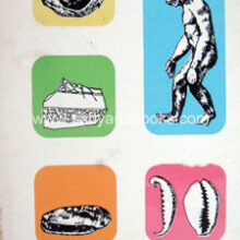 Stone-Age-India_B Stone-Age-India_B