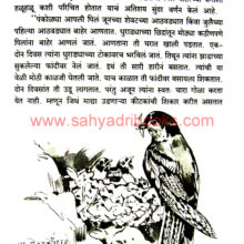 Ratwa_Sample1 Ratwa_Sample1