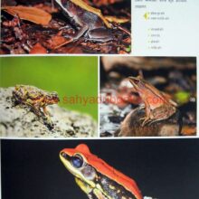 Sindhudurg-ek-avismarniya-Anandyatra_Sample