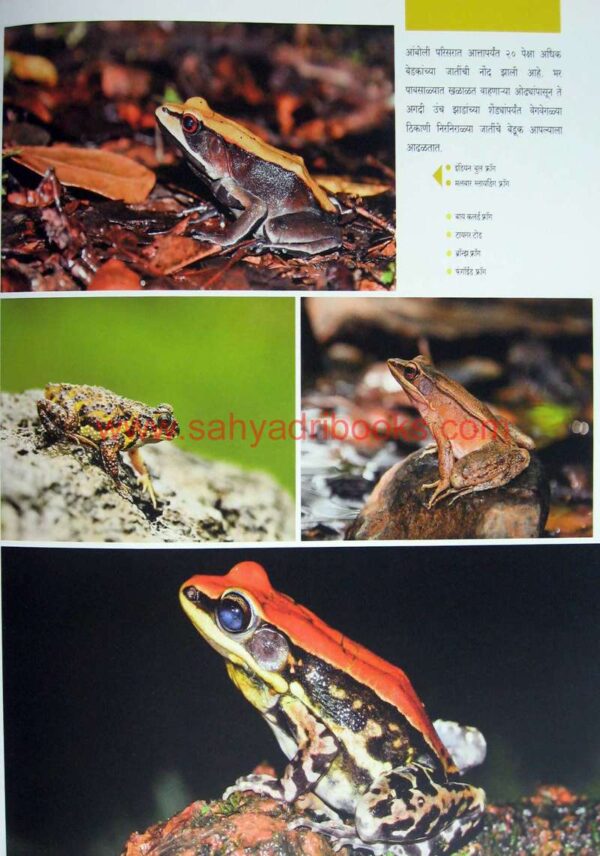 Sindhudurg-ek-avismarniya-Anandyatra_Sample