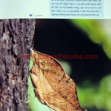 Sindhudurg-ek-avismarniya-Anandyatra_Sample1