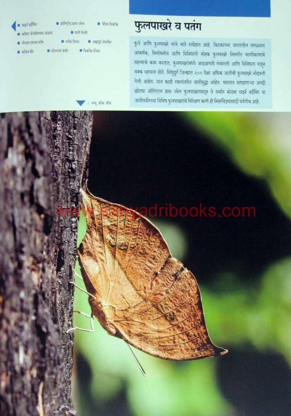 Sindhudurg-ek-avismarniya-Anandyatra_Sample1