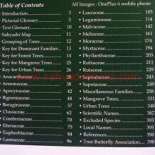 Trees-of- Sahyadri_I