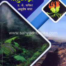 Durganpalikadcha-Sahyadri_C