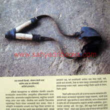 vismrutichya-umbarthavar_Sample1