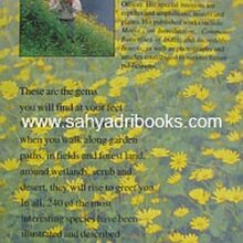 Common-Indian-Wild-flowers_B