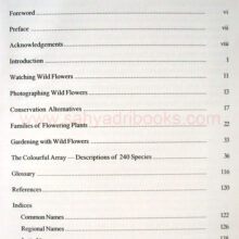 Common-Indian-Wild-flowers_I