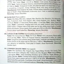 Common-Indian-Wild-flowers_sample1