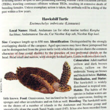 The-Book-of-Indian-reptiles-amphibians_sample The-Book-of-Indian-reptiles-amphibians_sample