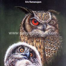 In-Achilles-Footsteps-Owl In-Achilles-Footsteps-Owl