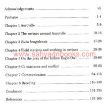 In-Achilles-Footsteps-Owl_I In-Achilles-Footsteps-Owl_I