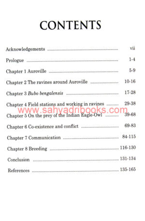 In-Achilles-Footsteps-Owl_I