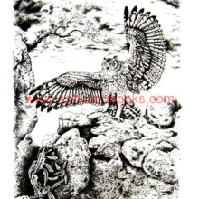 In-Achilles-Footsteps-Owl_Sample In-Achilles-Footsteps-Owl_Sample