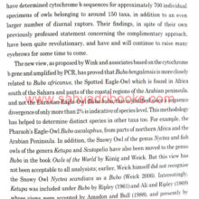 In-Achilles-Footsteps-Owl_Sample1 In-Achilles-Footsteps-Owl_Sample1
