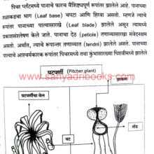 Vanaspati-JivanPrakriyaShastra_Sample3