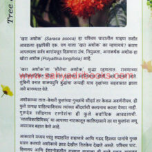 Jangalatlya-Goshti_Sample2