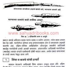 Shikar-Te-Sheti_Sample