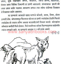 Maharashtratil-Abhayaranye_Sample1