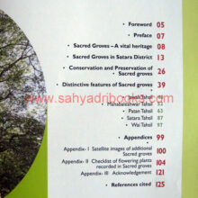 Sacred-Groves-in-Satara-District_I Sacred-Groves-in-Satara-District_I