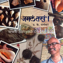 Jamala-Tasa Jamala-Tasa