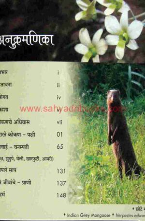 Nisargdhan-Kokanche_I