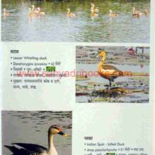 Nisargdhan-Kokanche_Sample1 Nisargdhan-Kokanche_Sample1