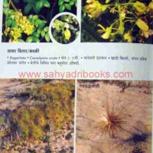 Nisargdhan-Kokanche_Sample2 Nisargdhan-Kokanche_Sample2