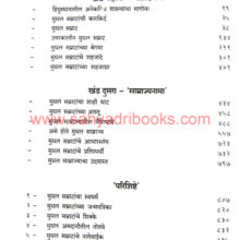 Mughal-Samrat_I Mughal-Samrat_I