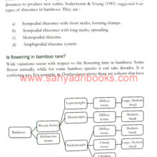 Vamsa-Samhita_Sample1