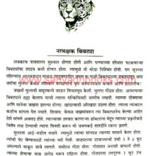 Bibatya-ani-Manus_Sample