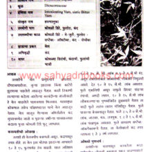 Healthy-Ranbhajya_Sample