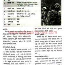 Healthy-Ranbhajya_Sample1