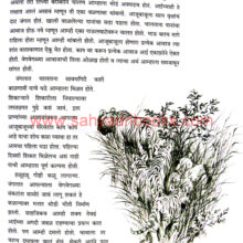 Maze-Jangalatil-Mitra-Wagh_Sample