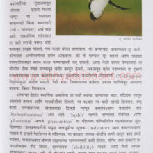 Pakshi-Panthalitale_Sample