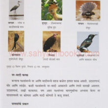 PakshiAple-Sakkhe-Shejari_Sample