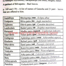 Flora-Fauna-Nature-Conservation-Values-in-Indian-Culture_Sample1 Flora-Fauna-Nature-Conservation-Values-in-Indian-Culture_Sample1