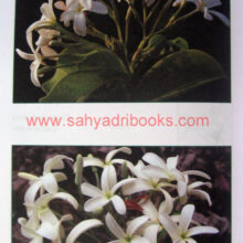 Aple-Udyan-Vruksha-va-Itar-Vanaspati_Sample3 Aple-Udyan-Vruksha-va-Itar-Vanaspati_Sample3