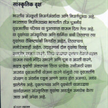 Sanskrutik-Vruksha_B