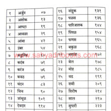 Sanskrutik-Vruksha_I