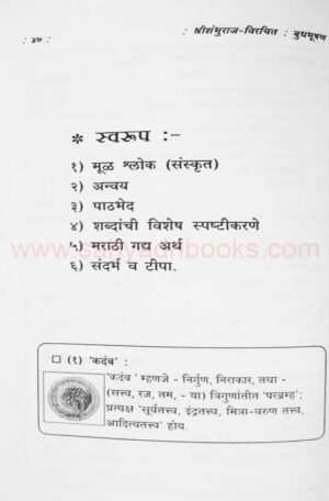 Budhbhushan-Rajniti_I