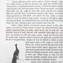 JangalKatha_Sample2 JangalKatha_Sample2